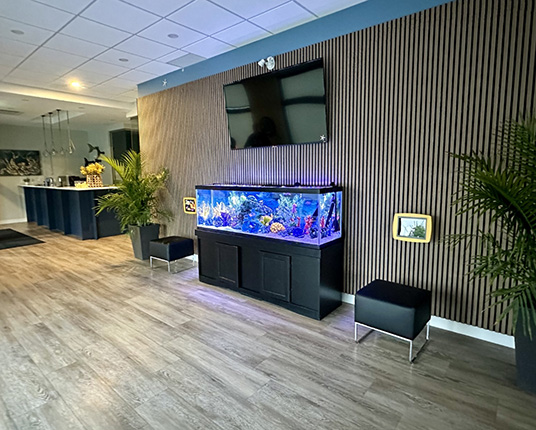 Kid friendly dental office reception area