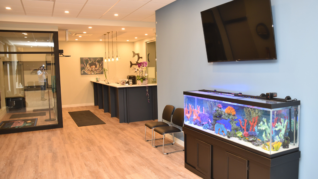 Welcoming dental office waiting room